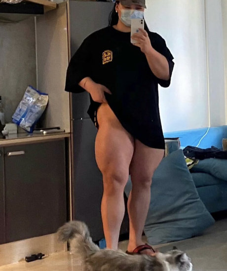 Guohui model art pictures