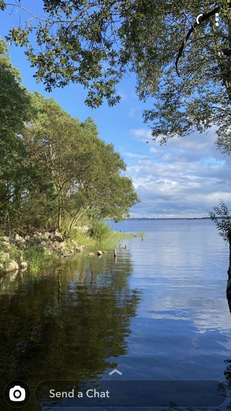 Mr Ace profile image