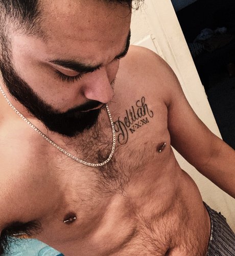 Praying Mantis free pornstar image