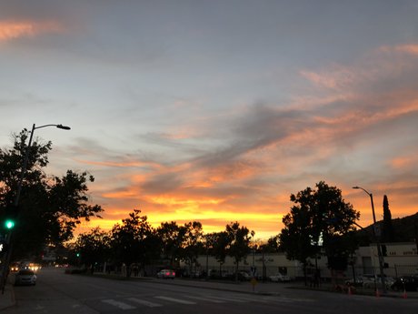 BeardedWizard erotic star pictures