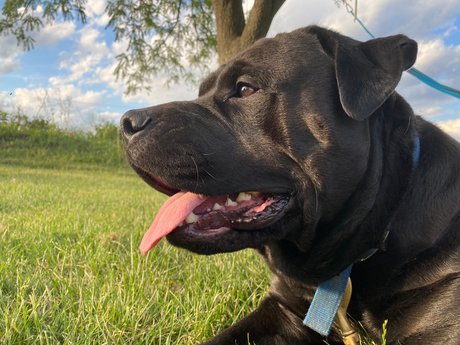 Mafia model hot gallery