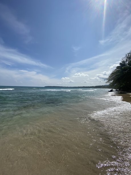 Estefan a BG pornstar adult galleries