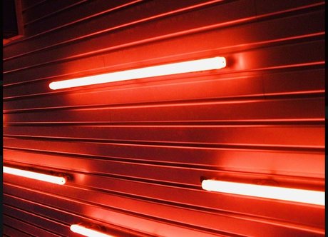 Panter amp ampTiger sexy model image