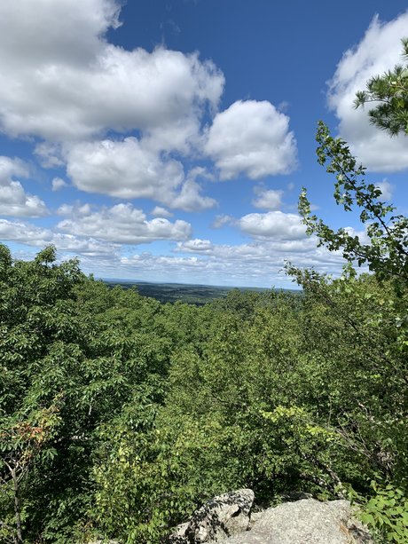 Bones_ xxx actress photo