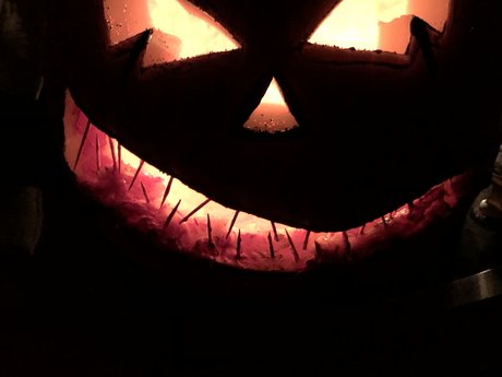 NoahDyck pornstar hd pictures