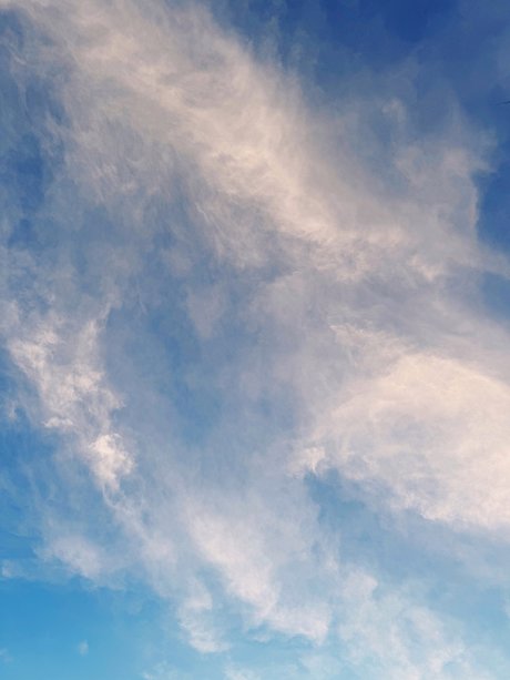 Mauricio Davila hot star pictures