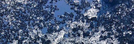 HungHomie sex model images