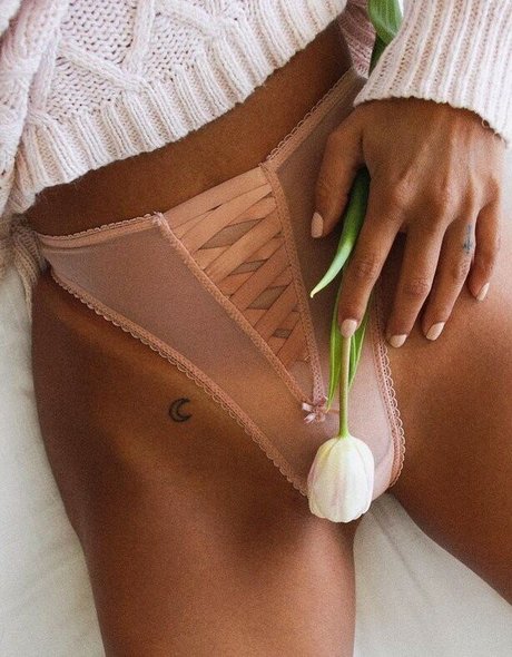 Leidys Ortiz nude pornstar photo