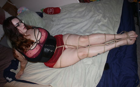 dammdenver star perfect archive