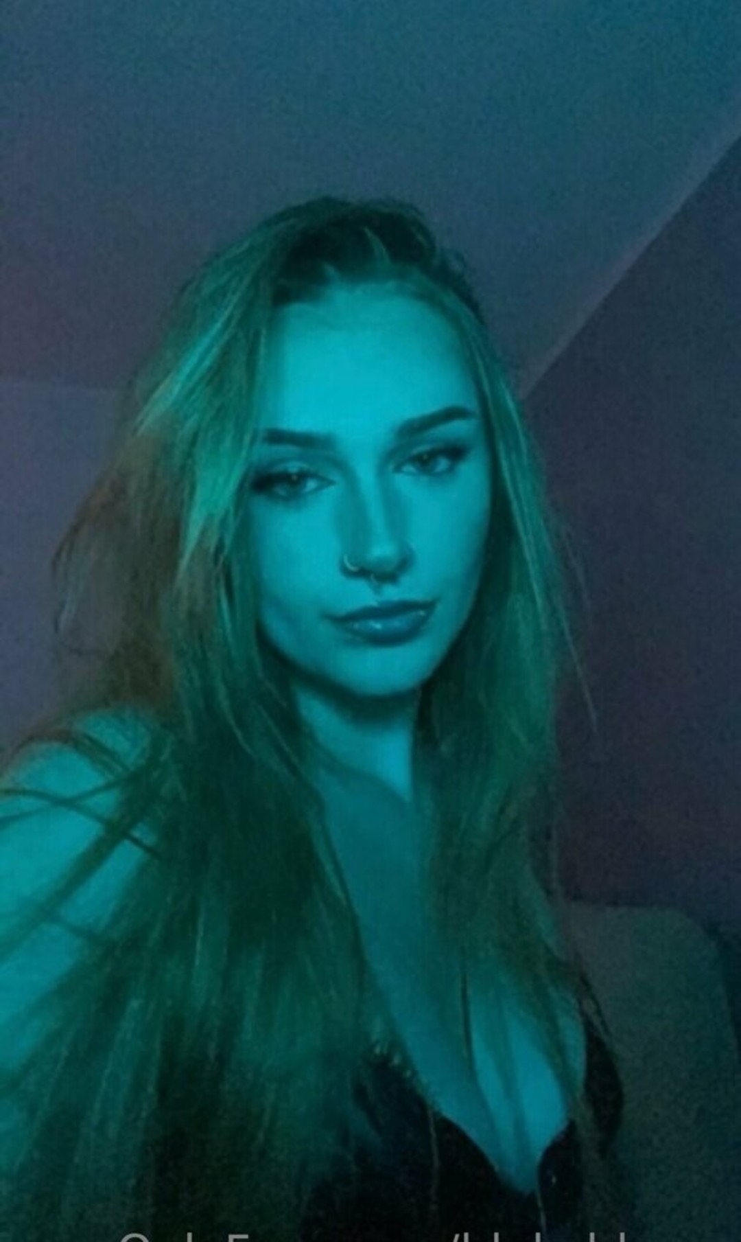 blakebloom profile image