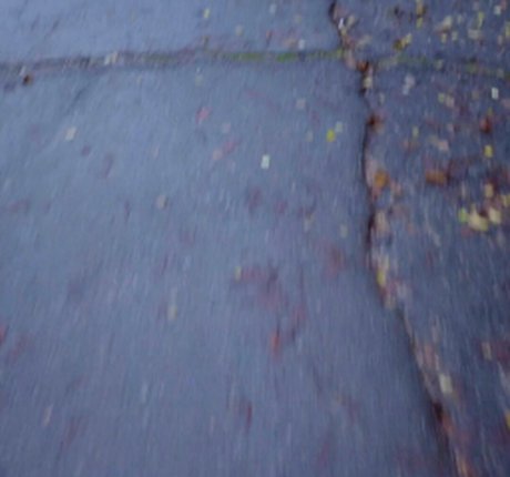 Snow Deville star high quality picture