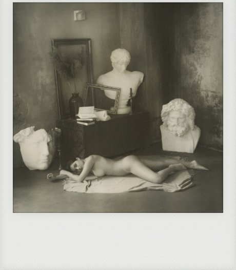 Avrelia Amaris star adult archive