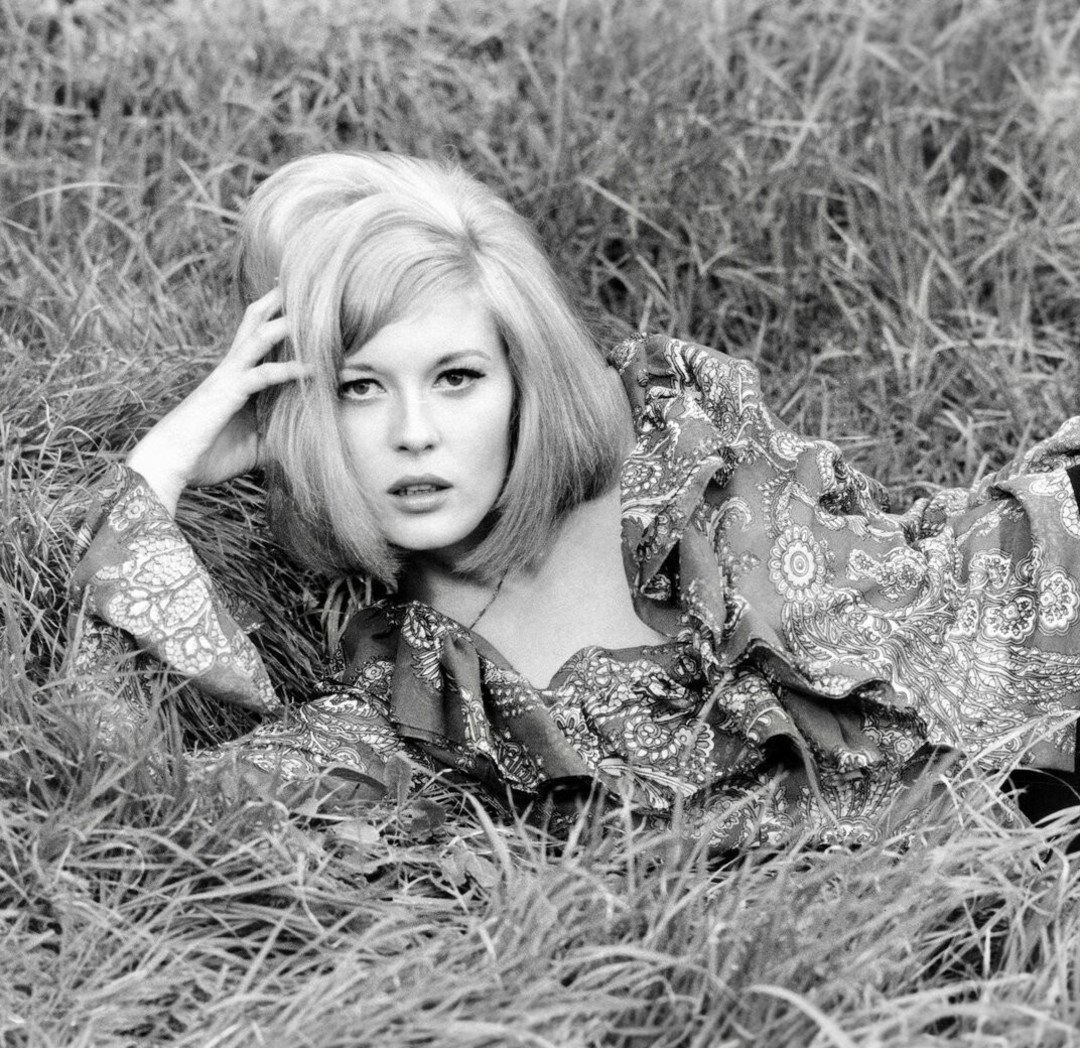 Faye Dunaway star high quality gallery