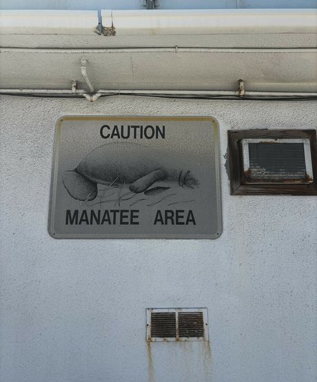 Hanna Luukkonen adult model images