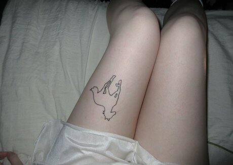 Spinechillx star xxx archive