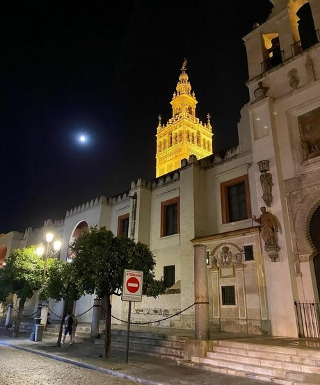 Mariana De Sousa star pic