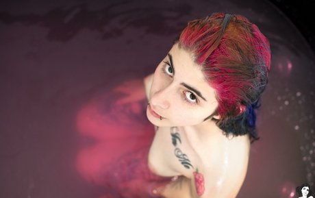 Karenzio star high quality photo