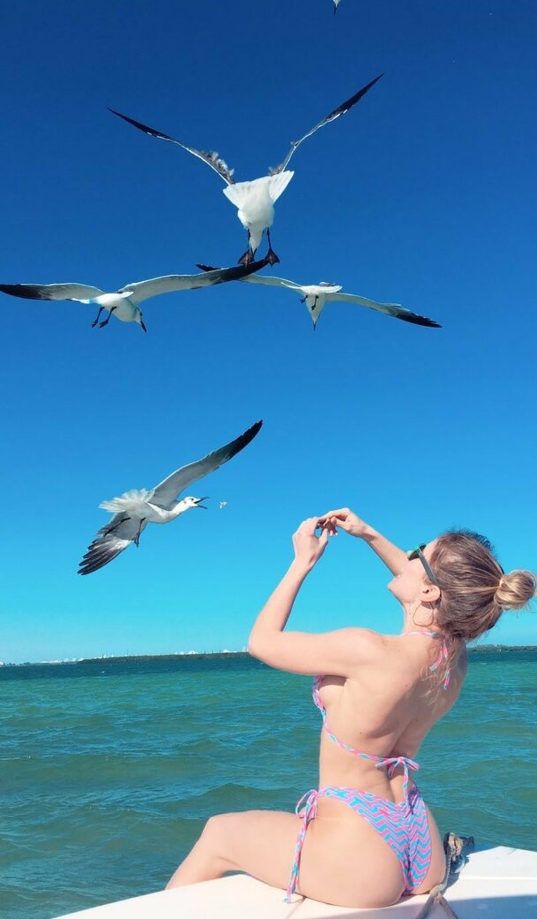 Miss Volaera free star pics