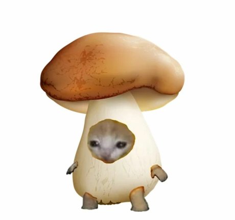 hannapilz nice actress pics