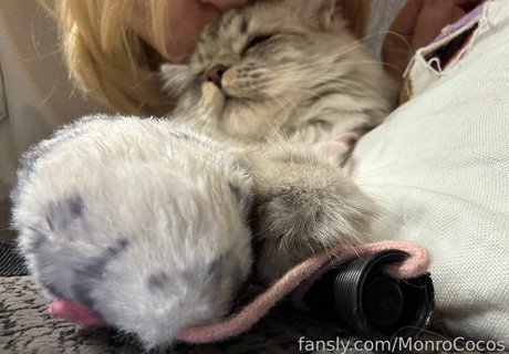 MonroCocos nudes actress photo