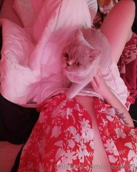 naughtyfoxyyy adult actress image