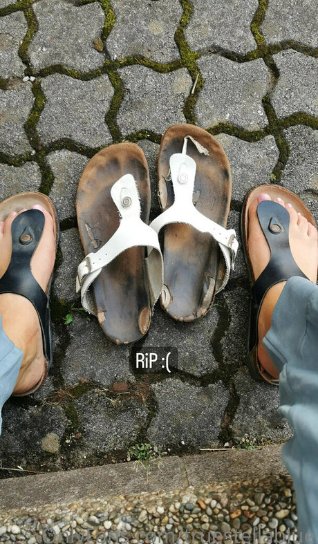 truestellablue star free archive