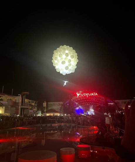 Lily Mcalpine star art photos