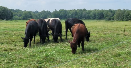 double onlyfans nude image