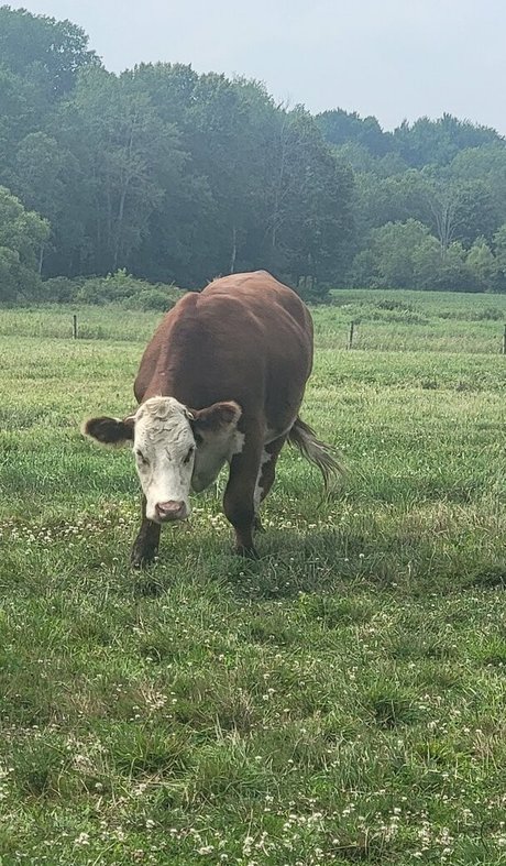 nellebeachgirl erotic star pictures