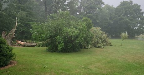 nellebeachgirl beautiful model image