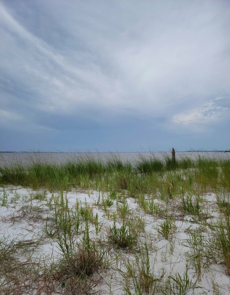 nellebeachgirl hd model archive