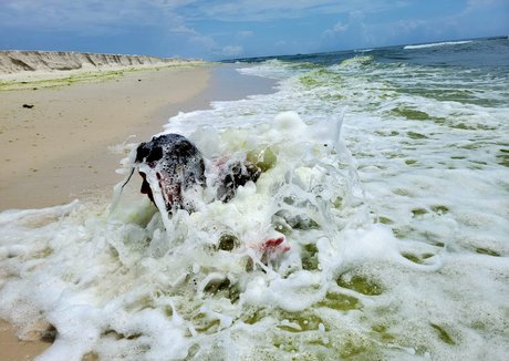 nellebeachgirl perfect actress photos