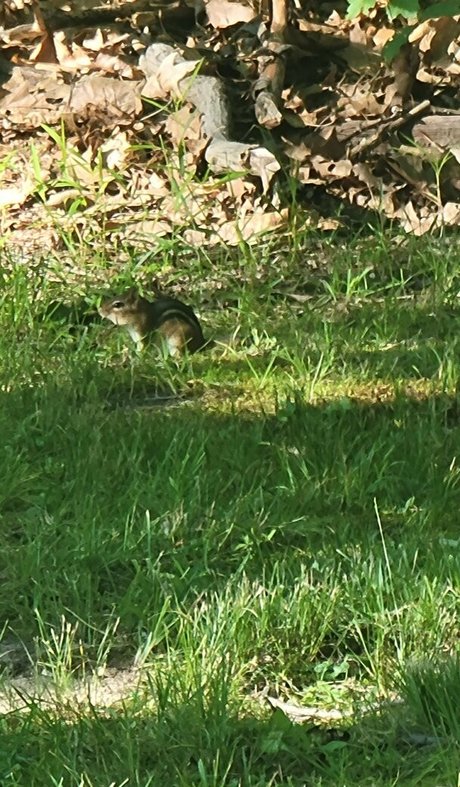 nellebeachgirl hot actress pictures