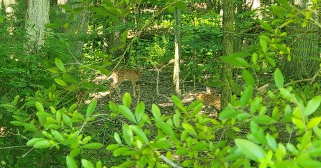 bbc blowjob onlyfans naked pics