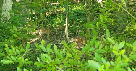 nellebeachgirl sexy star galleries