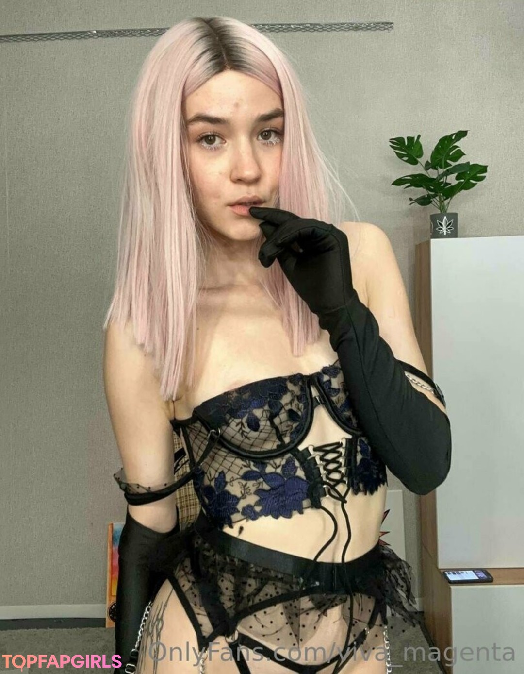 ladyboy onlyfans free sexy pics