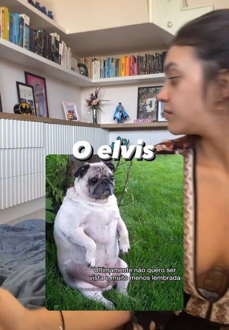 Debora Aladim model top image