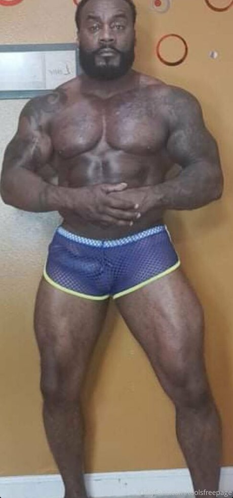 toolsfreepage best model img