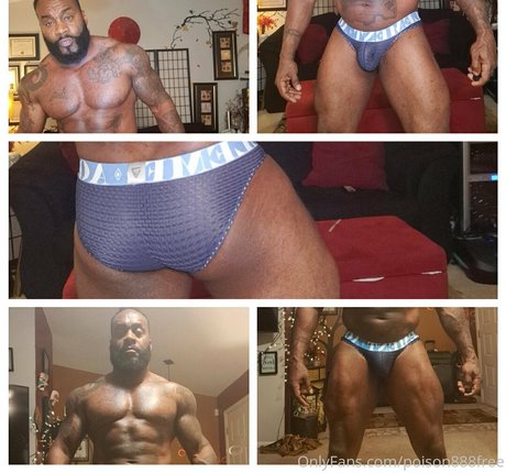 toolsfreepage star erotic gallery