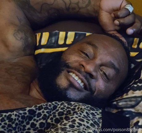 toolsfreepage star perfect galleries