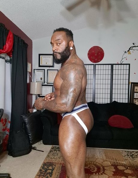 toolsfreepage perfect model galleries