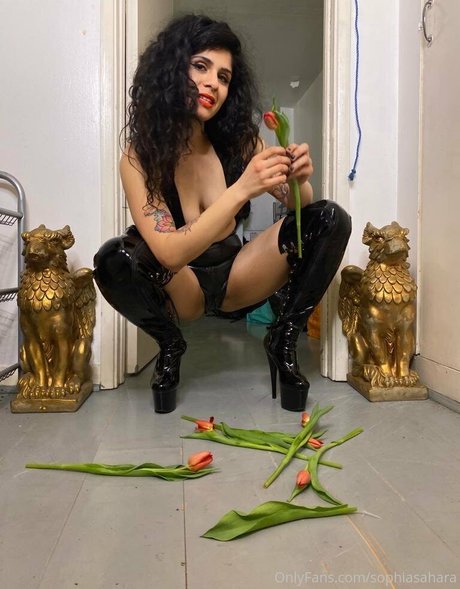 blonde cougar onlyfans free img