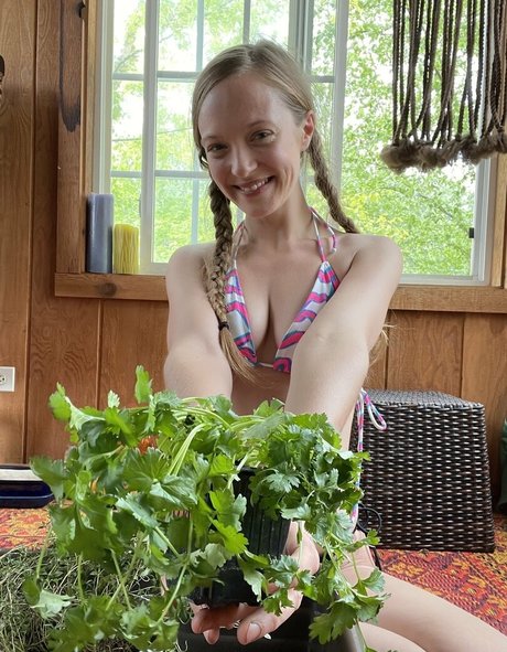 harperlane star hd galleries