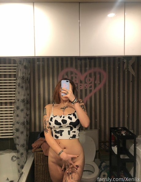 Xenlix pornstar galleries