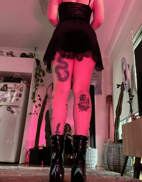 analwonderland exclusive star images