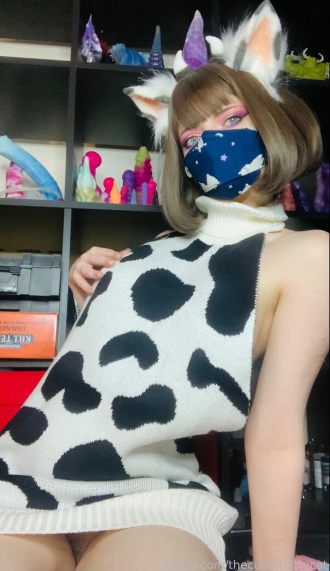 thecutestkittycat beautiful star image