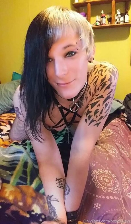 SoftBoxBoi star pornographic archive