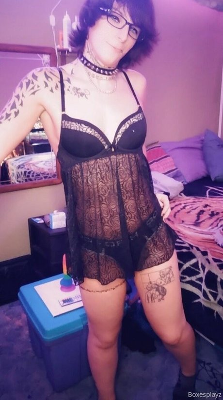 SoftBoxBoi star hd galleries