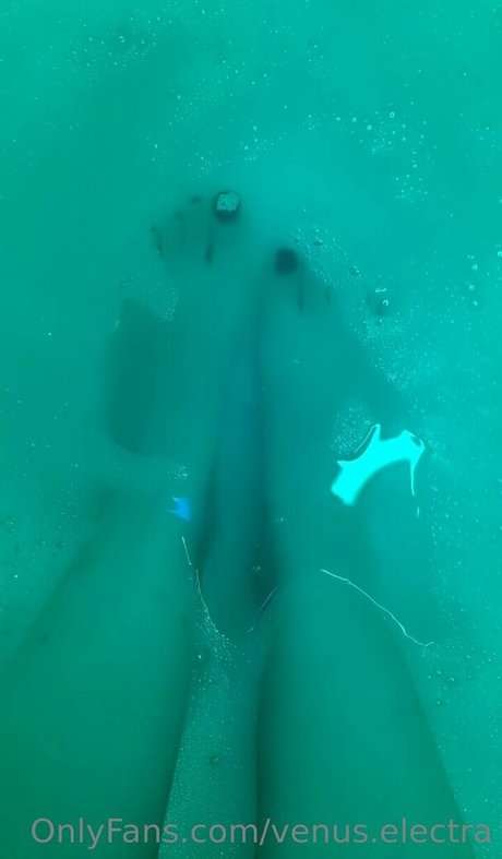 venus electra profile image