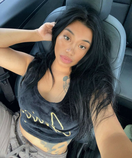 Minnieportable nice star picture